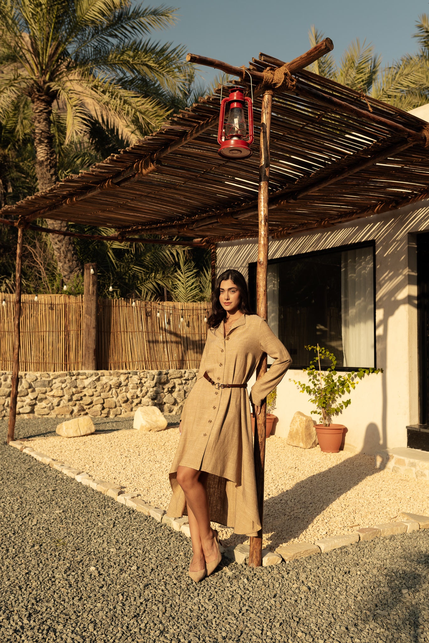 Tailored Shirt Dress